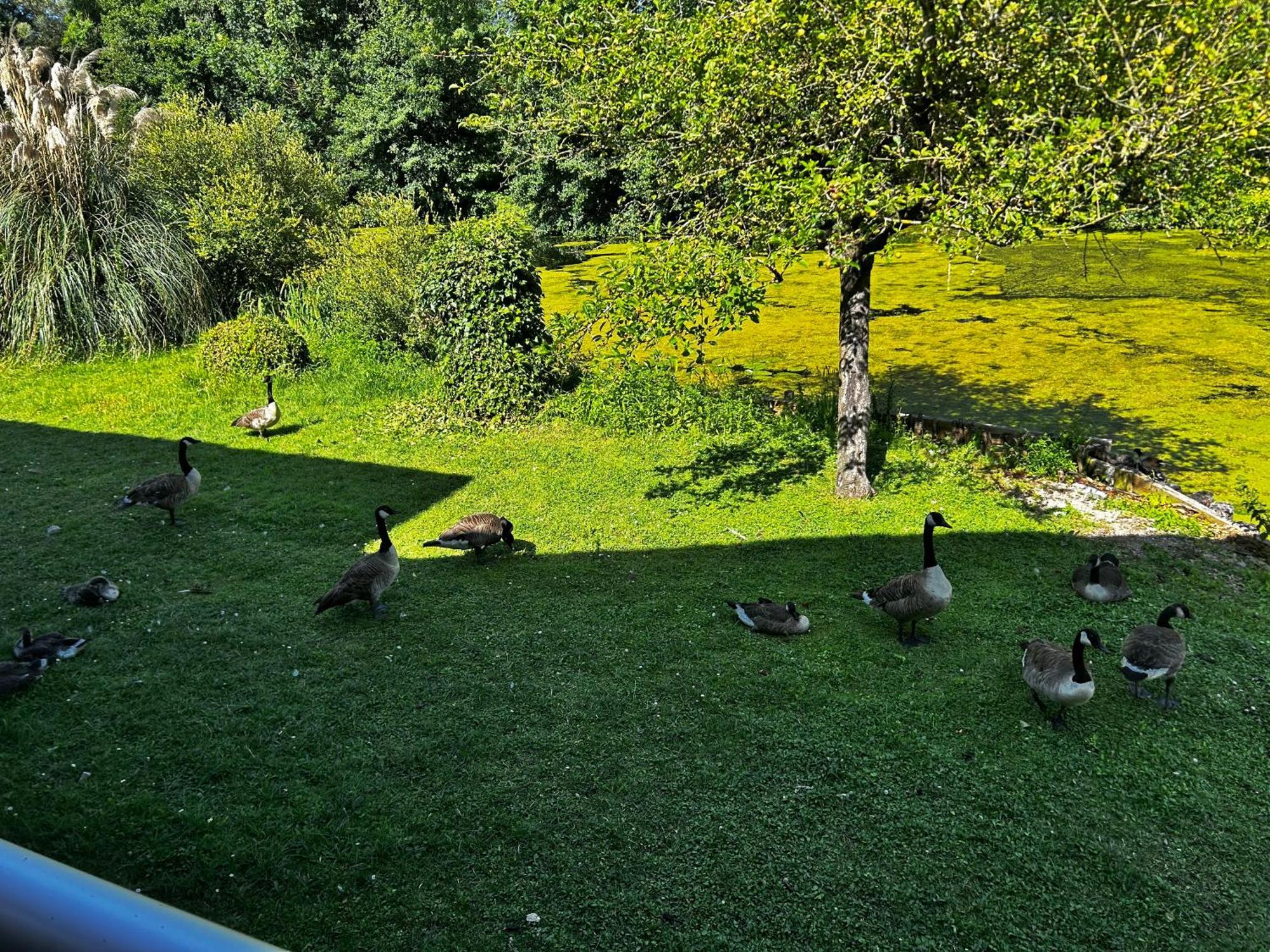 Hotel L'ile Du Saussay 3*